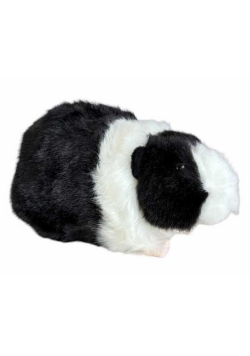 Kawia domowa czarno-biała 20cm