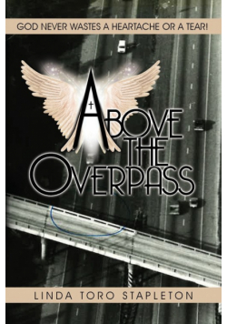 Above the Overpass