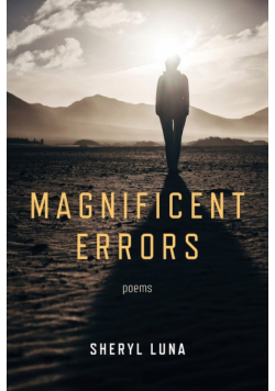 Magnificent Errors