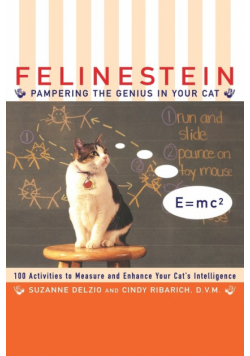 Felinestein