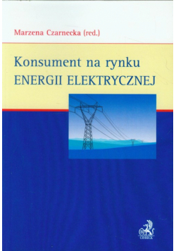 Konsument na rynku energii elektrycznej