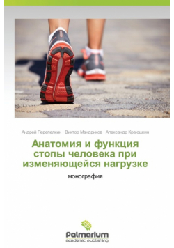 Anatomiya I Funktsiya Stopy Cheloveka Pri Izmenyayushcheysya Nagruzke