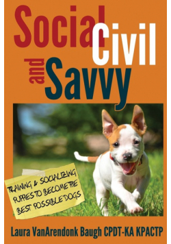 Social, Civil, and Savvy