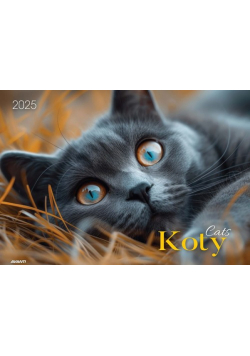 Kalendarz 2025 Albumowy Koty