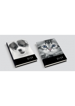 Kalendarz 2019 B6/352 Psy i Koty MIX DAN-MARK