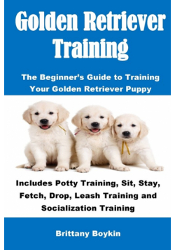 Golden Retriever Training