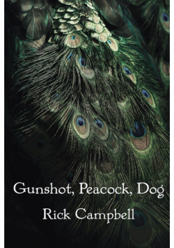 Gunshot, Peacock, Dog