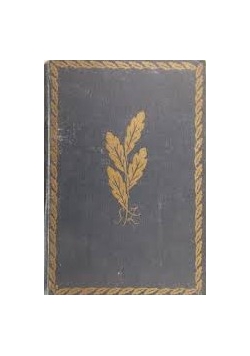 Syzyfowe prace, 1928r.