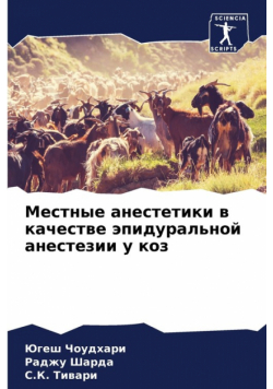 Местные анестетики в качестве эпидуральной анестезии у коз
