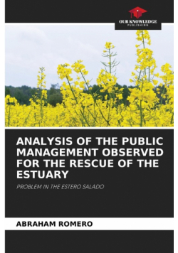 Analysis Of The Public Management Observed For The Rescue Of The Estuary