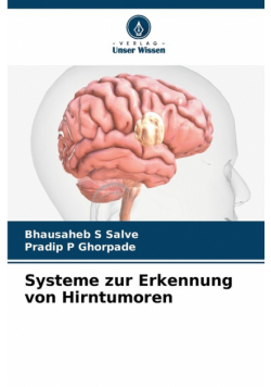 Systeme zur Erkennung von Hirntumoren