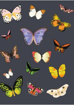 Metamorphosis Journal (Navy)