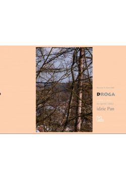 Droga Idzie Pan