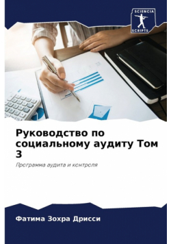 Руководство по социальному аудиту Том 3