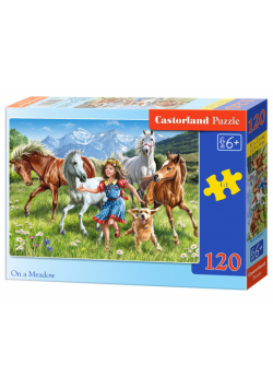 Puzzle On a Mead 60