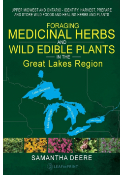 Foraging Medicinal Herbs and Wild Edible Plants in the Great Lakes Region