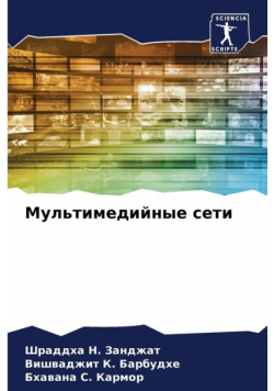 Мультимедийные сети