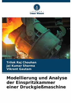 Modellierung und Analyse der Einspritzkammer einer Druckgießmaschine