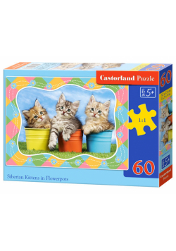 Puzzle Siberian Kittens in  Flowerpots 60