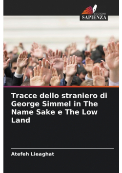 Tracce dello straniero di George Simmel in The Name Sake e The Low Land