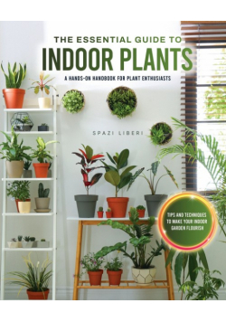 The Essential Guide to Indoor Plants