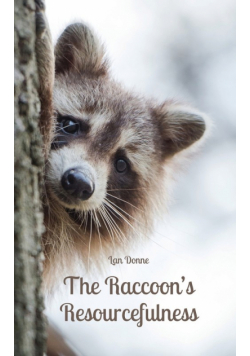 The Raccoon's Resourcefulness