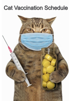 Cat Vaccination Schedule