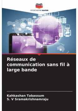 Réseaux de communication sans fil à large bande