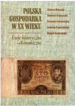 Polska gospodarka w XX wieku