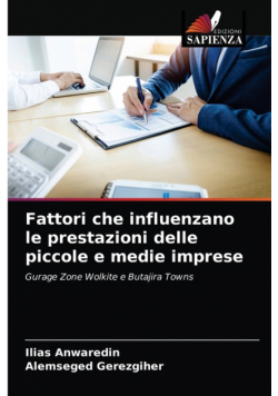 Fattori che influenzano le prestazioni delle piccole e medie imprese