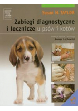Zabiegi diagnostyczne i lecznicze u psów i kotów