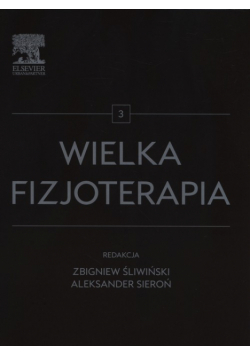 Wielka fizjoterapia Tom 3
