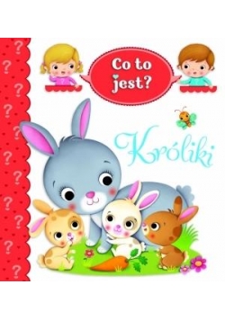 Co to jest? Króliki