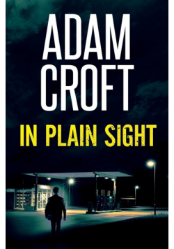 In Plain Sight