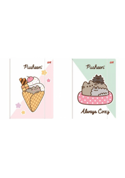 Paczka Teczka A4 z gumką Pusheen 10 szt.