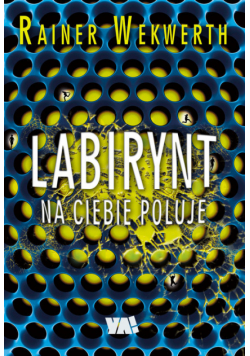 Labirynt na ciebie poluje