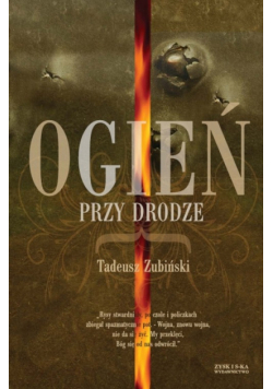 Ogień przy drodze
