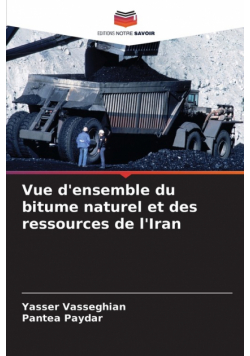 Vue d'ensemble du bitume naturel et des ressources de l'Iran