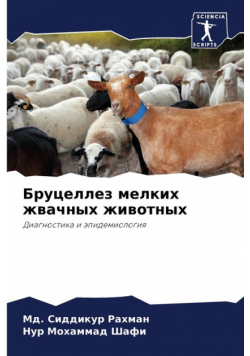 Бруцеллез мелких жвачных животных
