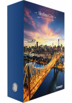 Segregator A4 Skyline City