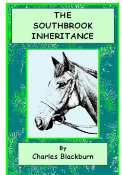 The Southbrook Inheritance