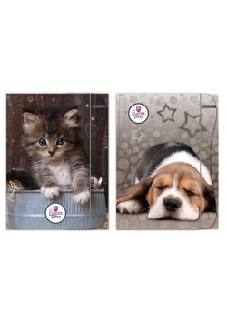 Teczka z gumką A4 Sweet Pets mix wzorów