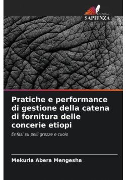 Pratiche e performance di gestione della catena di fornitura delle concerie etiopi