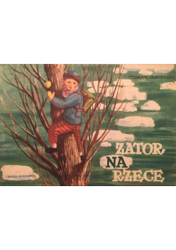 Zator na rzece