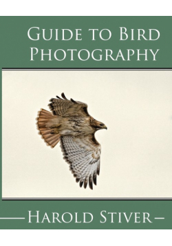 Guide to Photographing Birds