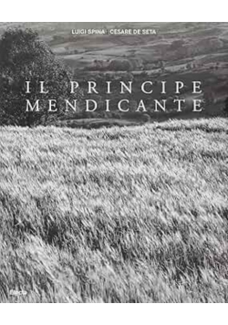 Il Principe Mendicante