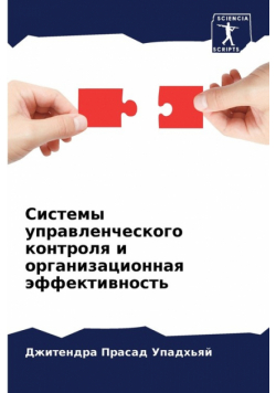 Системы управленческого контроля и организационная эффективность