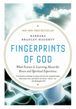 Fingerprints of God