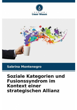 Soziale Kategorien und Fusionssyndrom im Kontext einer strategischen Allianz