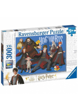 Puzzle 2D 300 Magiczna Brygada